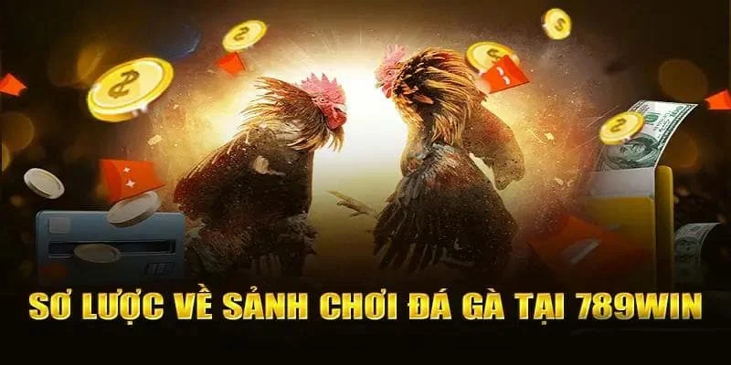 Các loại hình đá gà hấp dẫn tại 789win