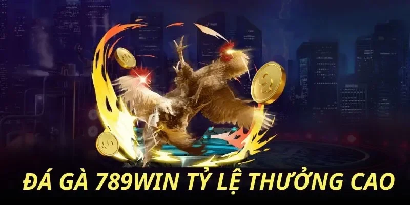 Sức hút của đá gà 789win trong cộng đồng